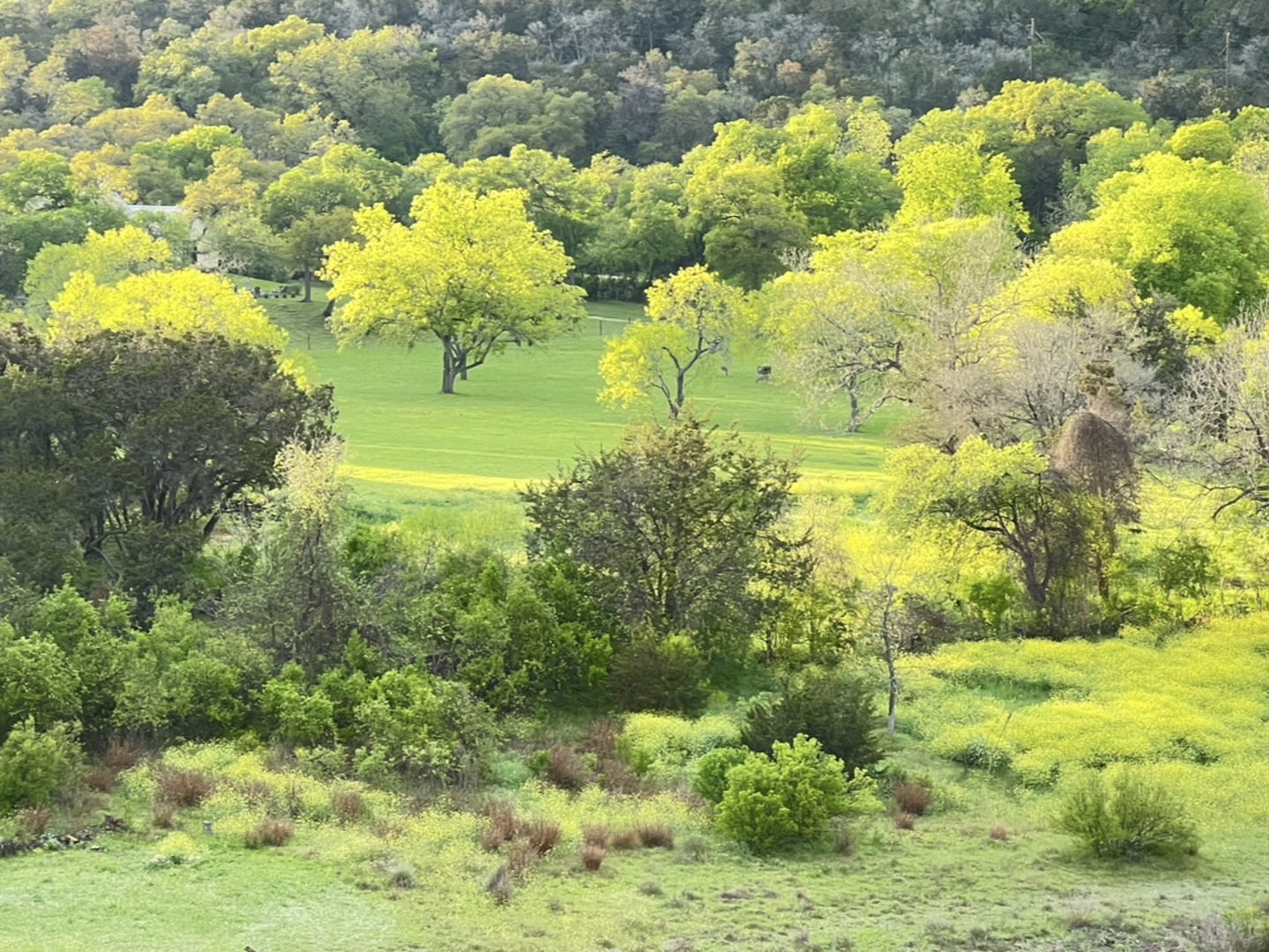 main property photo 72