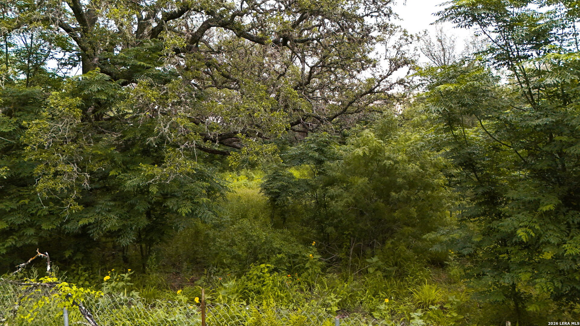 main property photo 11