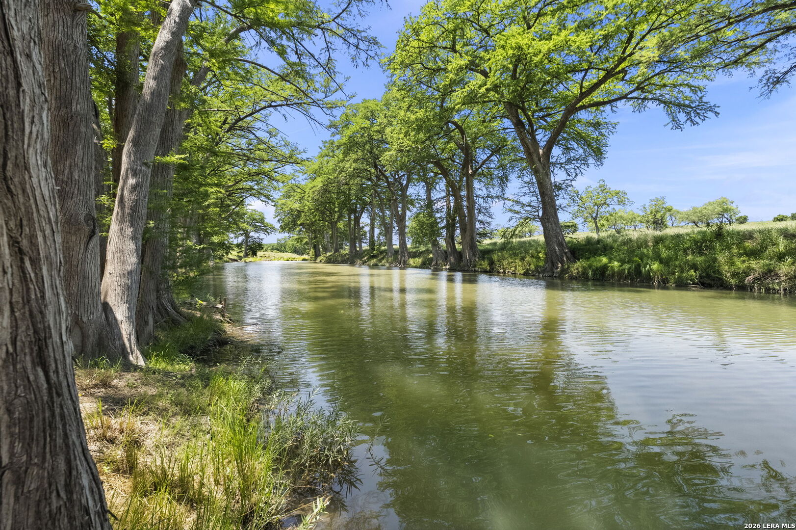main property photo 54