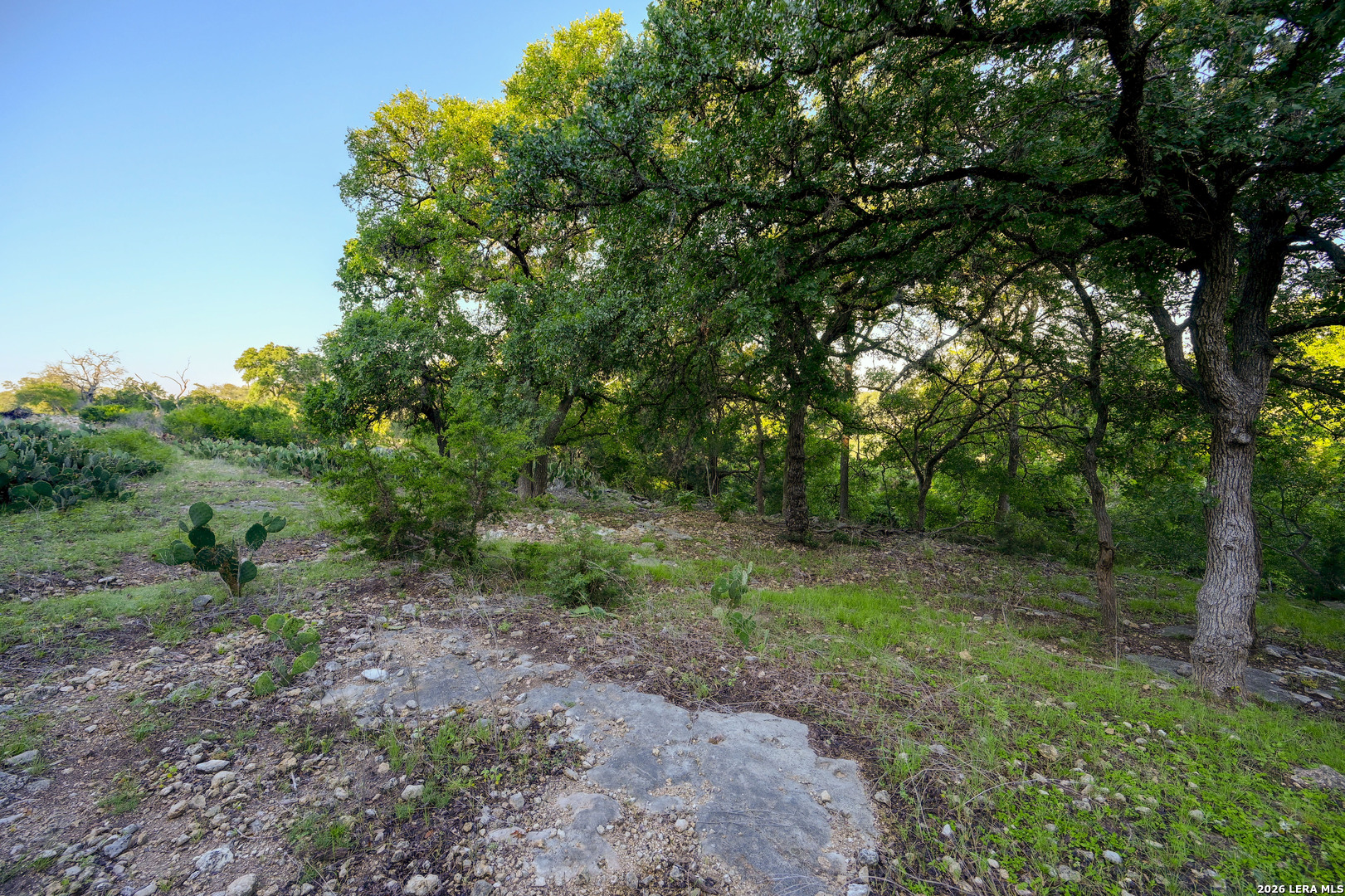 main property photo 36