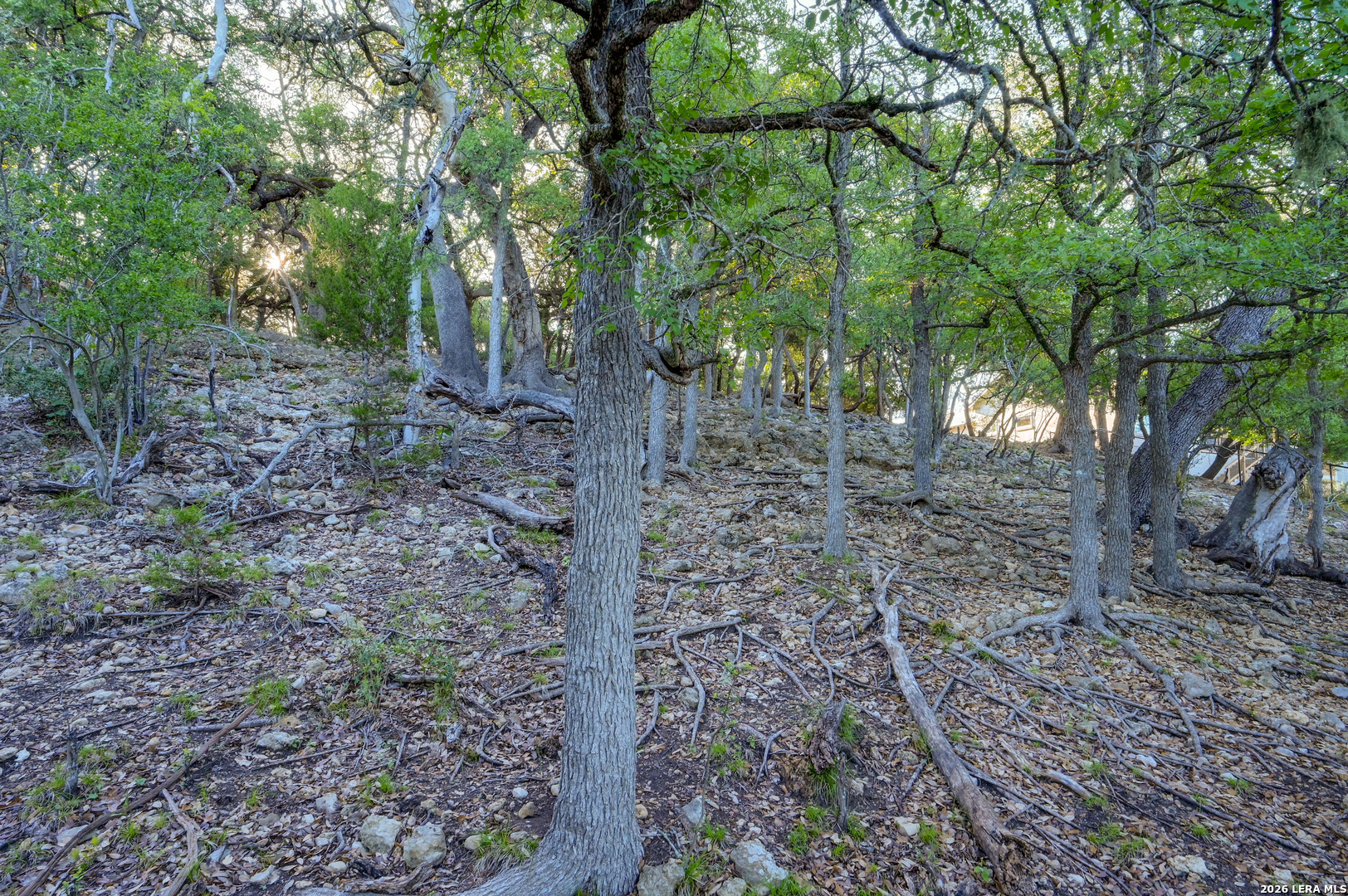 main property photo 44