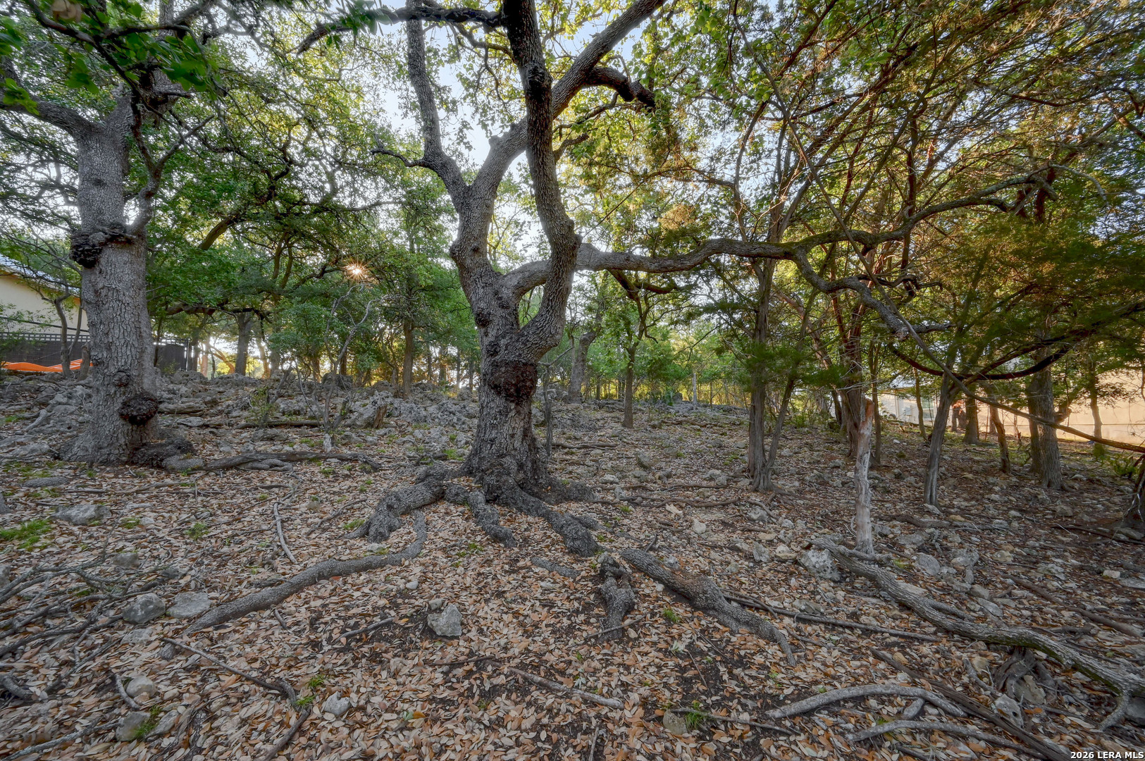 main property photo 46