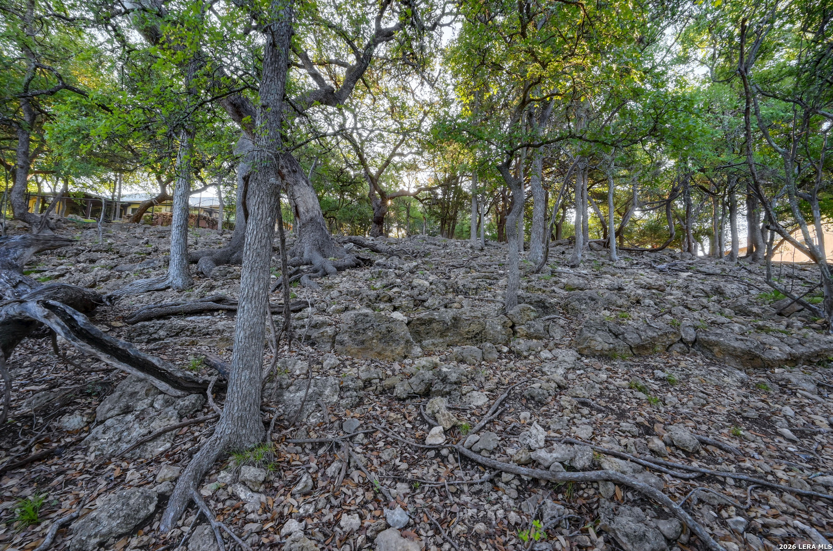main property photo 49