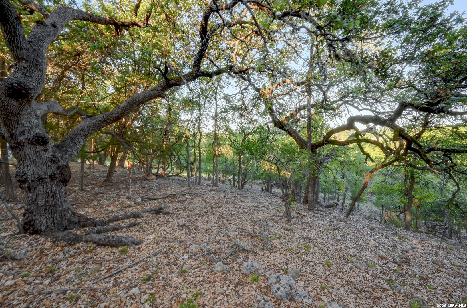main property photo 50
