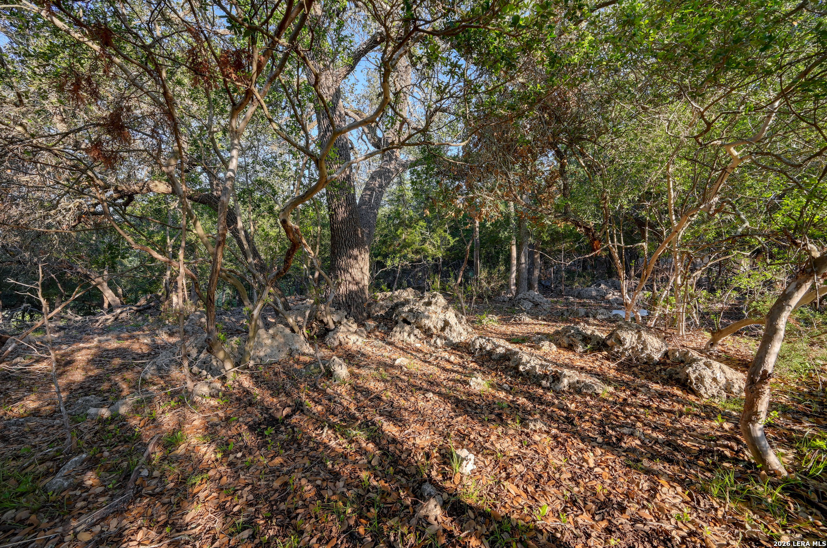 main property photo 8