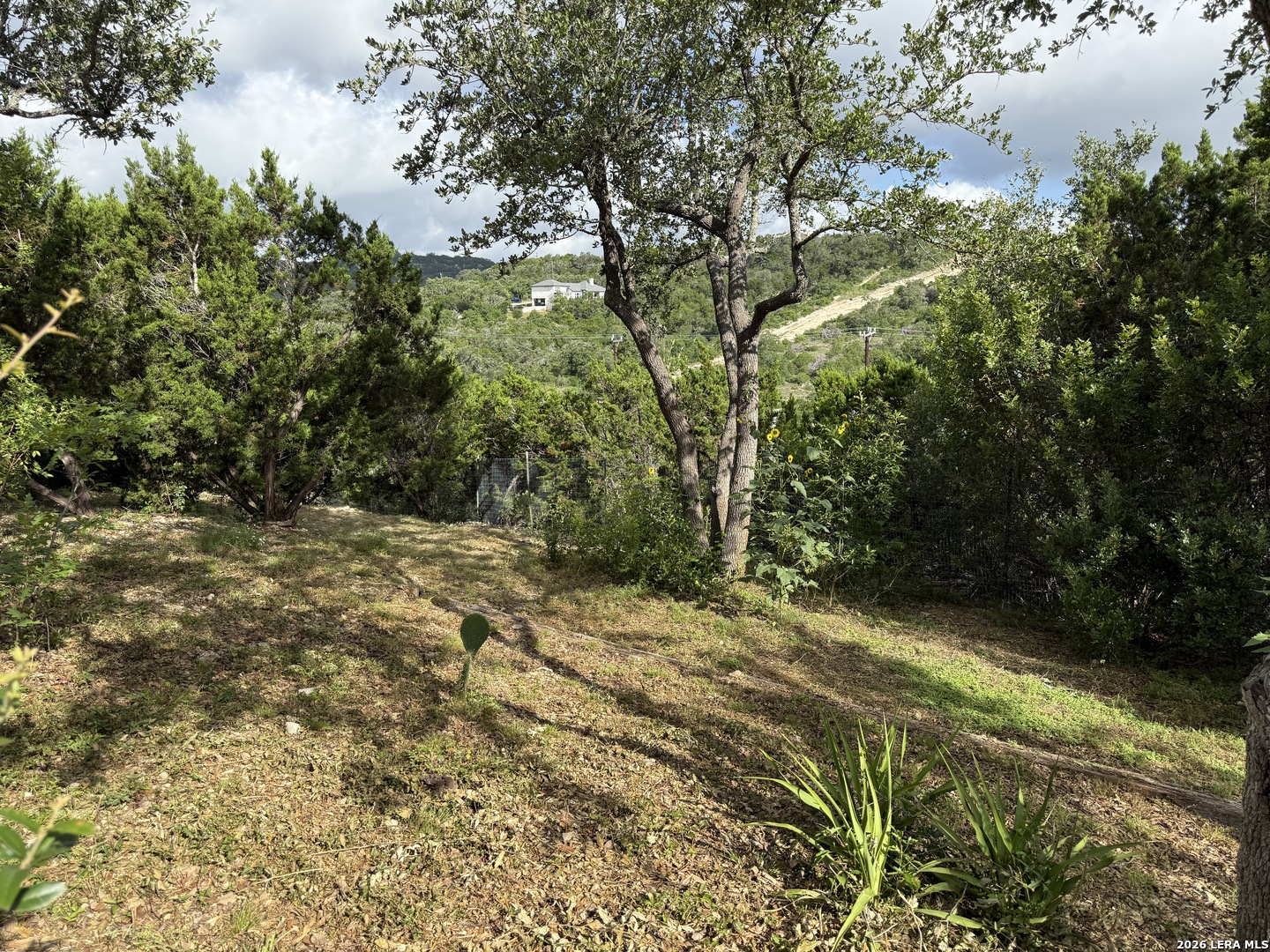 main property photo 39