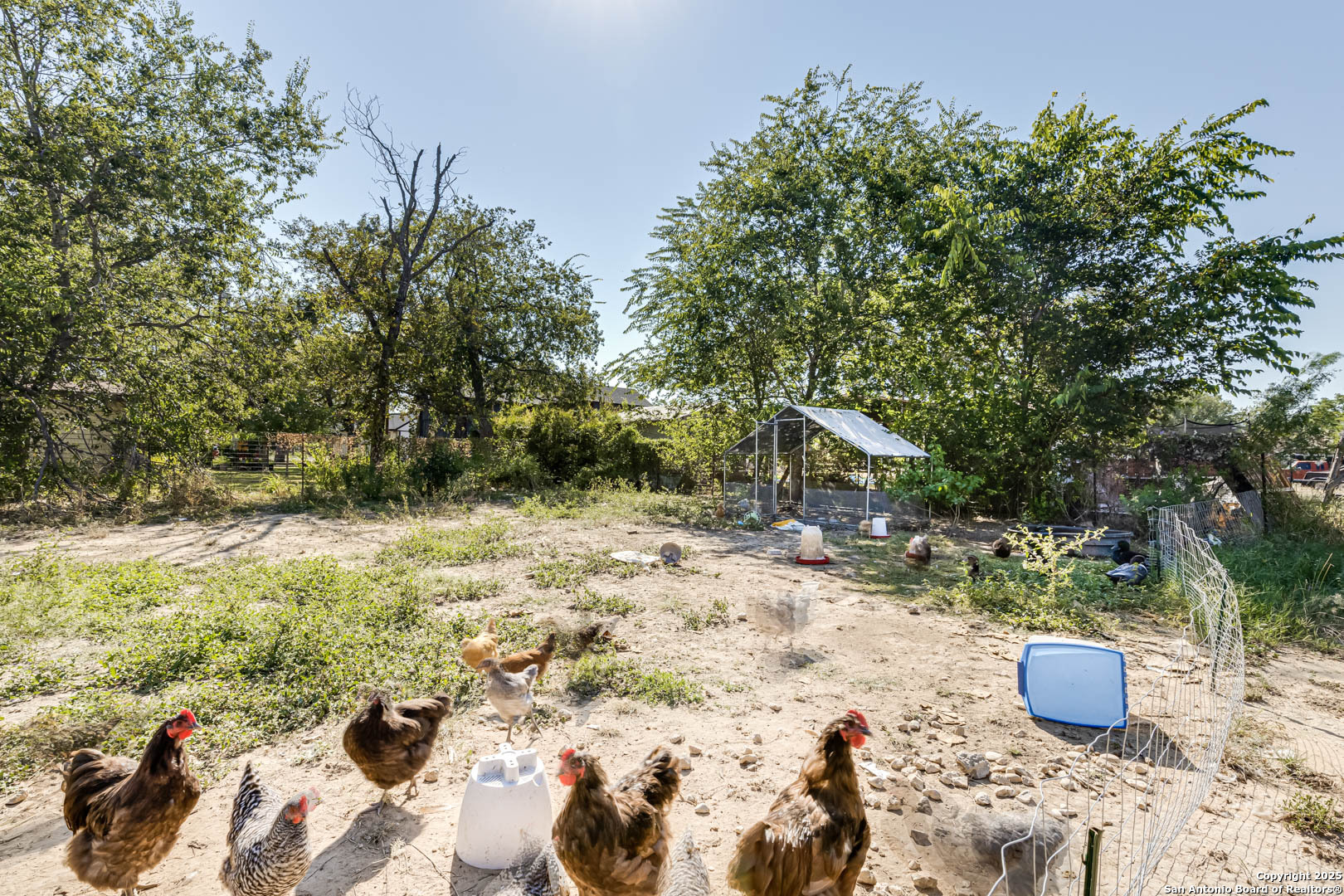 main property photo 37