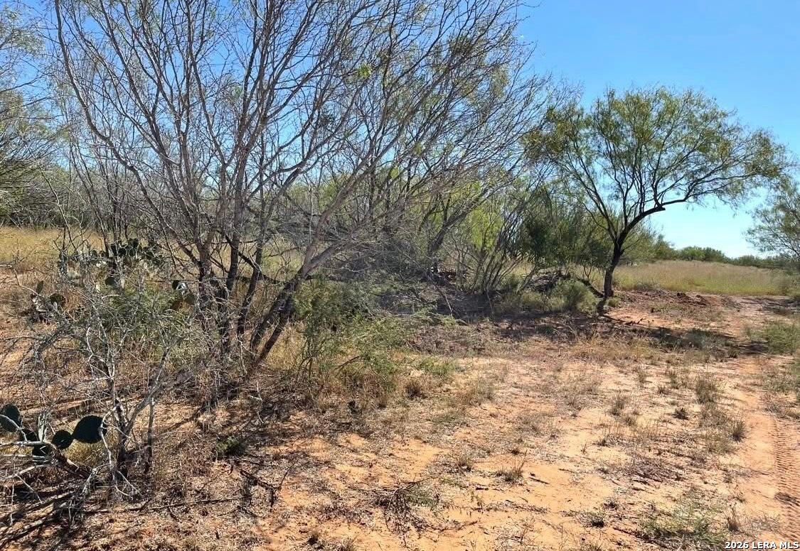 main property photo 25
