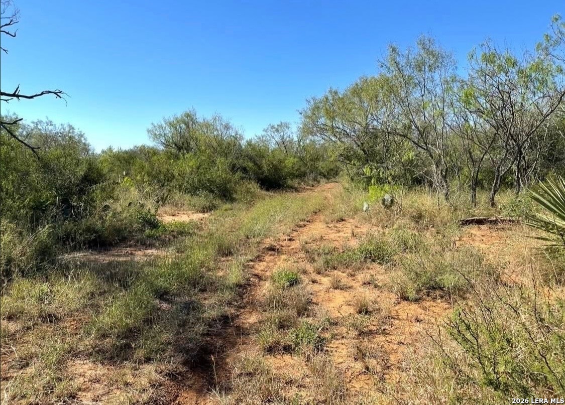 main property photo 31