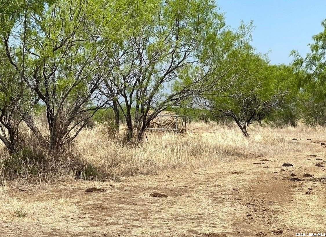main property photo 9