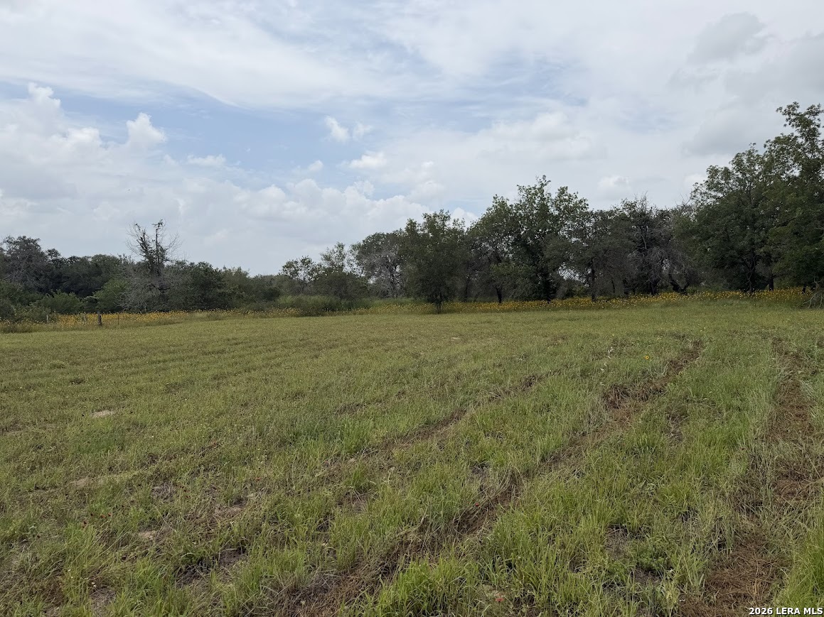 main property photo 10