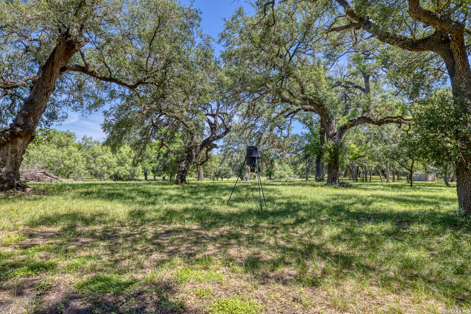 main property photo 67