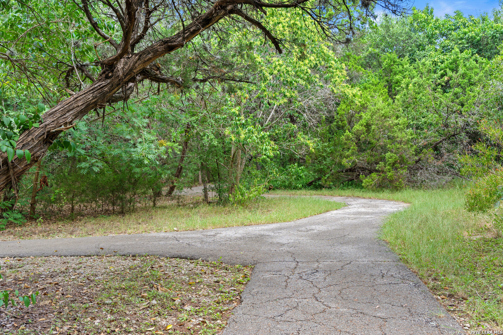 main property photo 54
