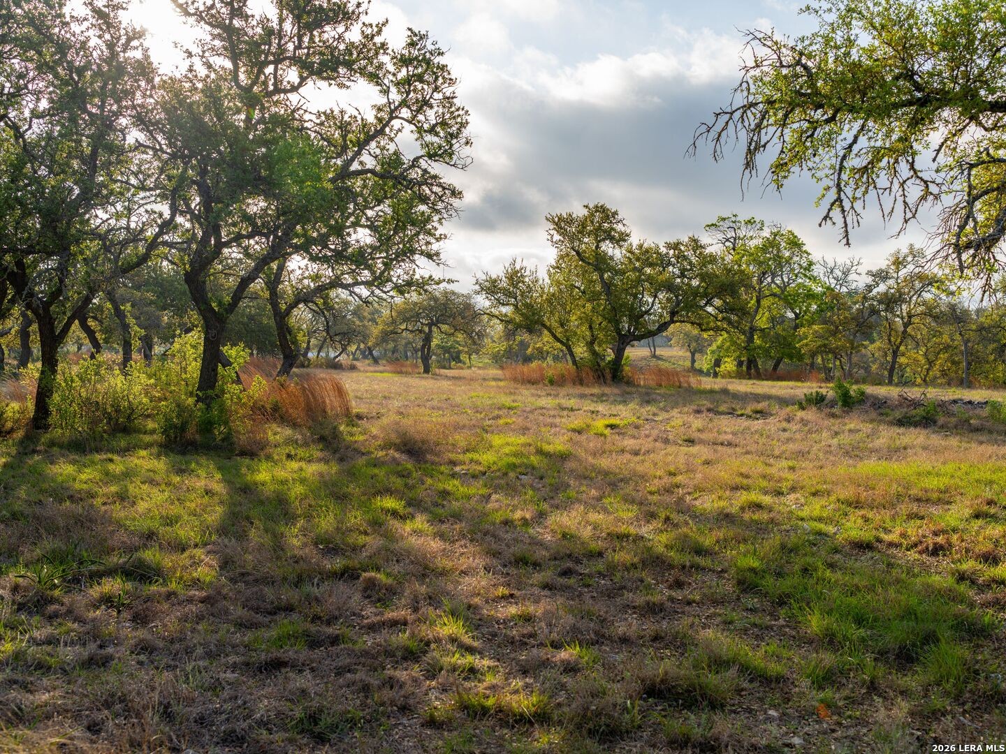 main property photo 64
