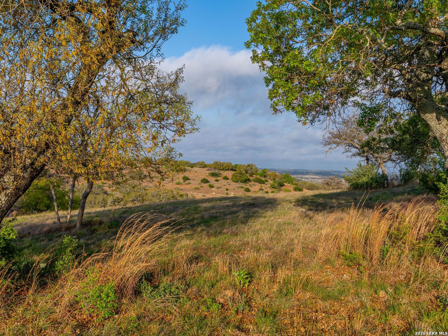 main property photo 67