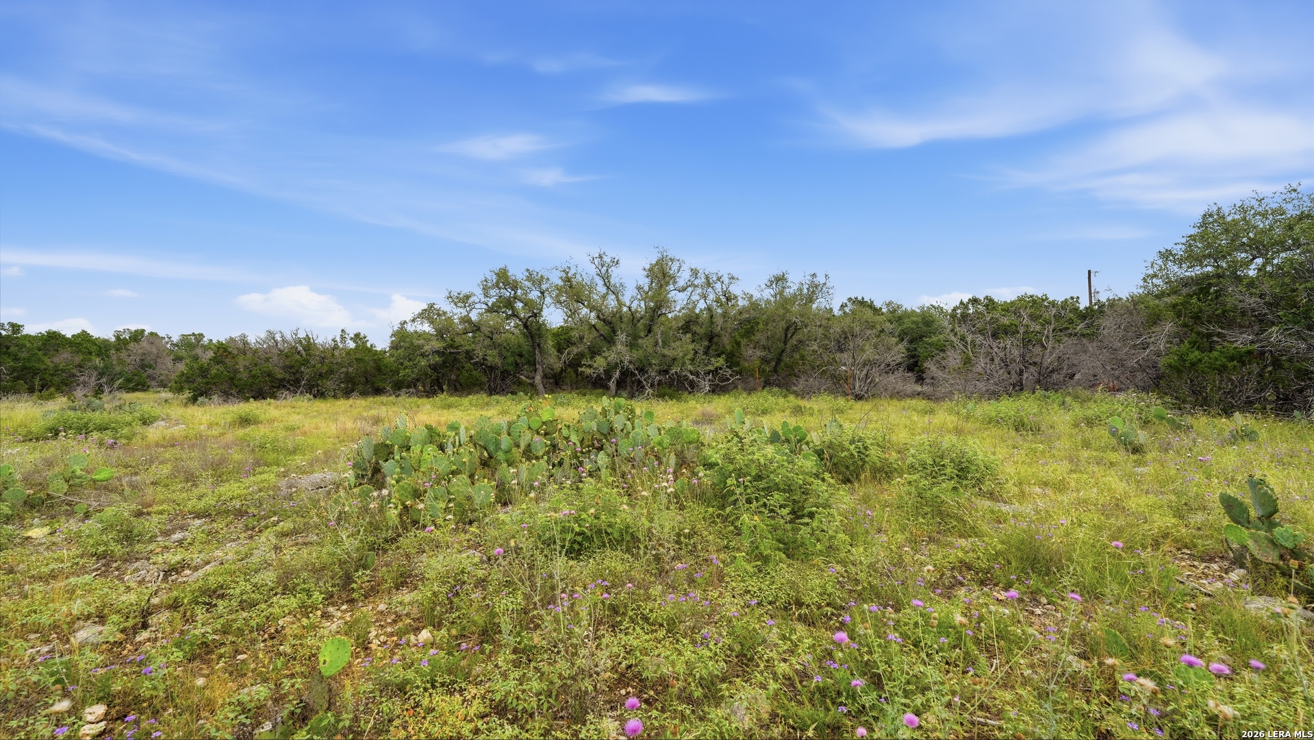 property viewer photo 29