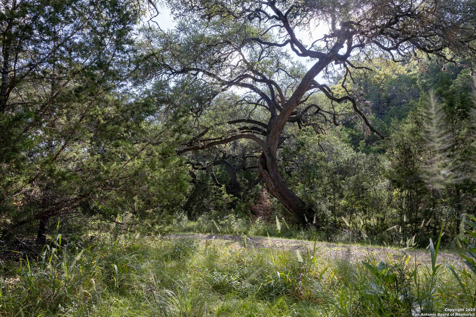 main property photo 23