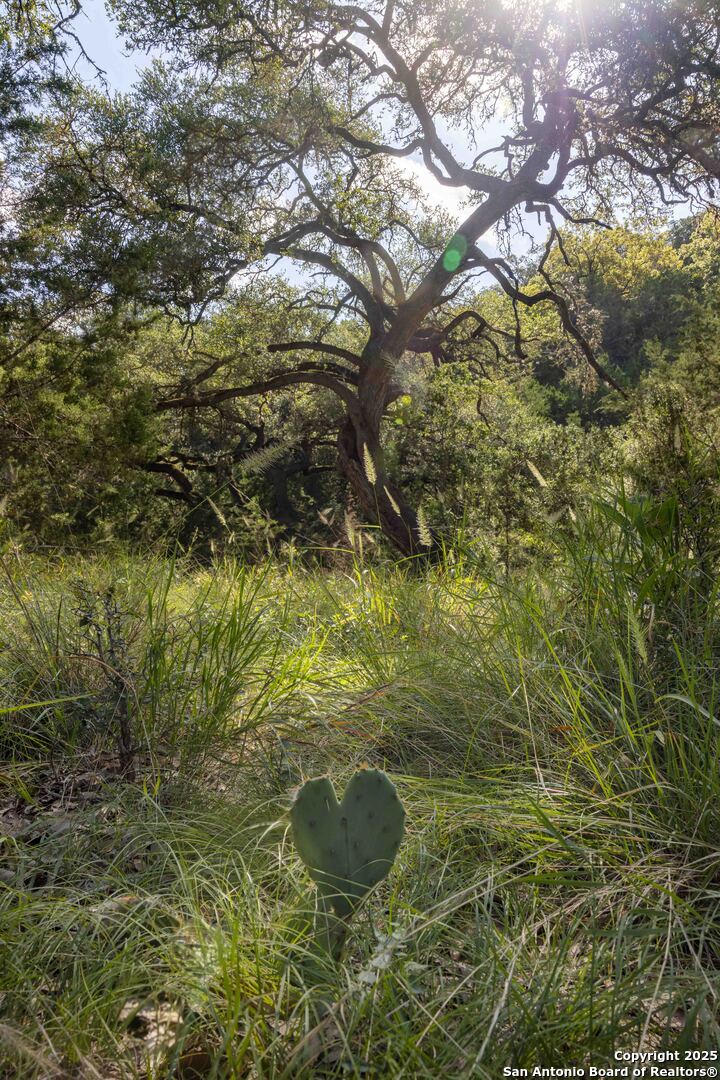 main property photo 25