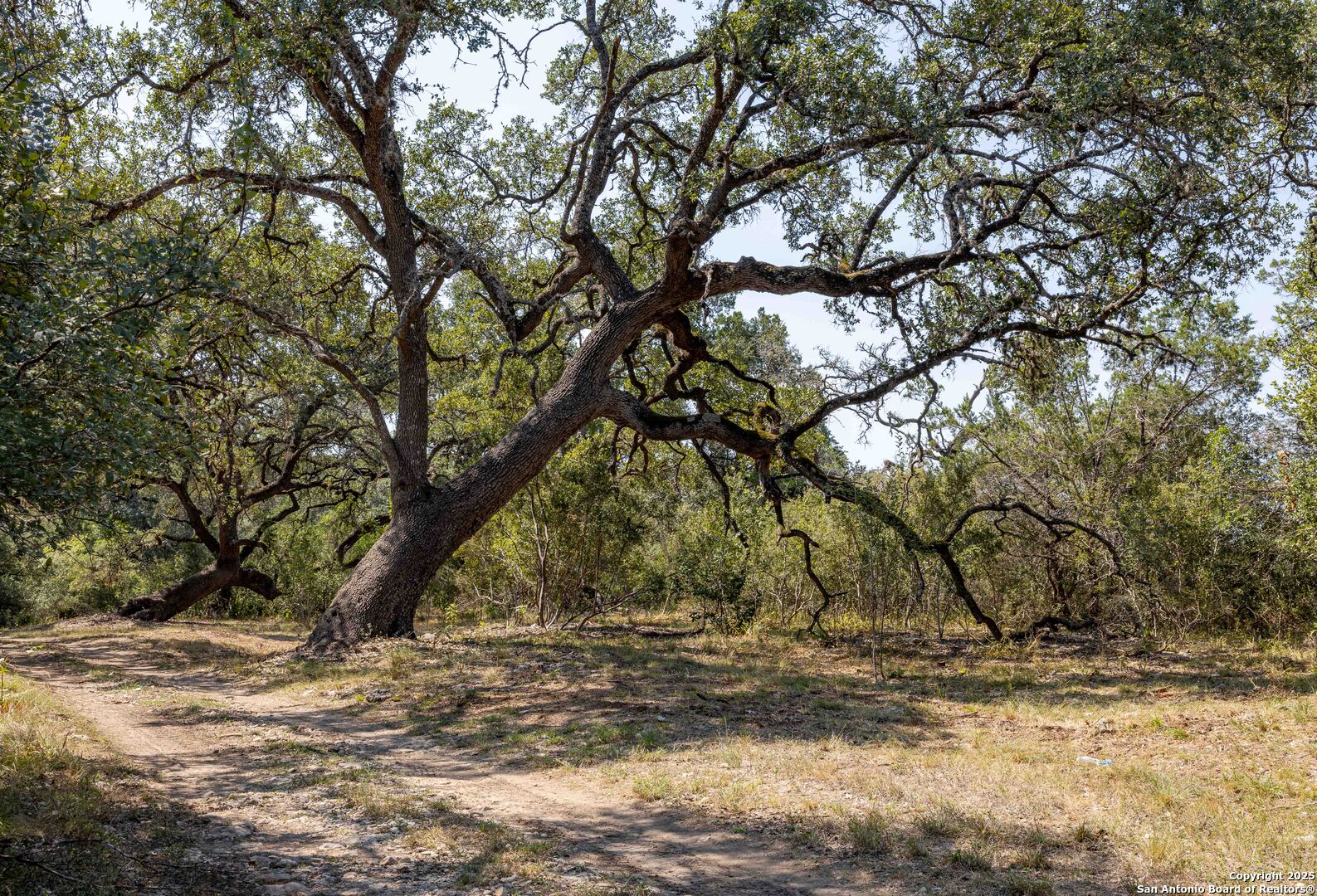 main property photo 27