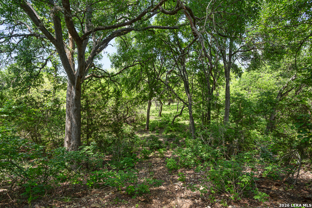 main property photo 13