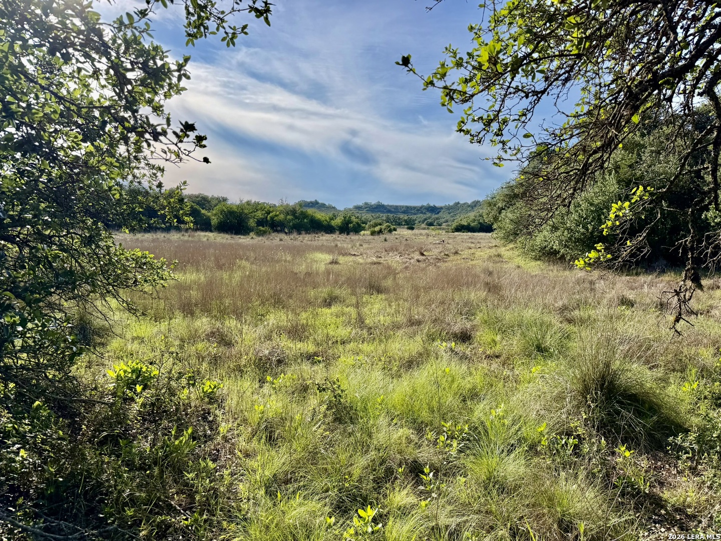 main property photo 71