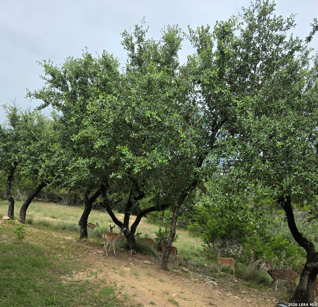 main property photo 64
