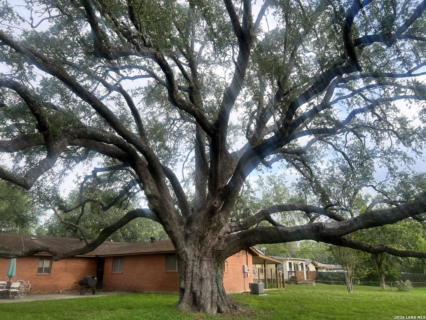 main property photo 54