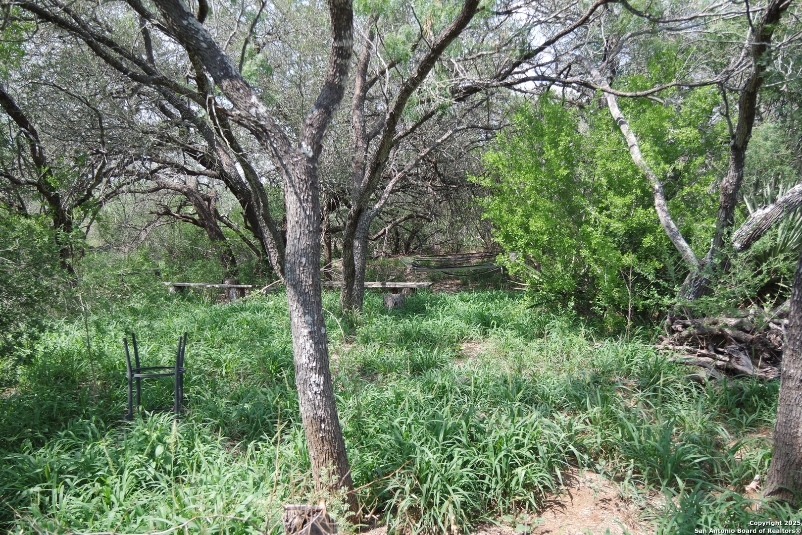 main property photo 6