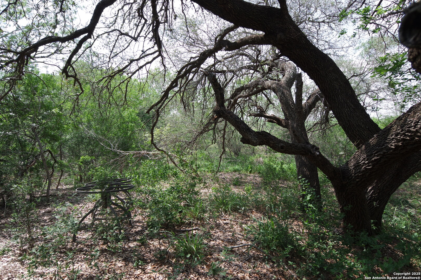 main property photo 7