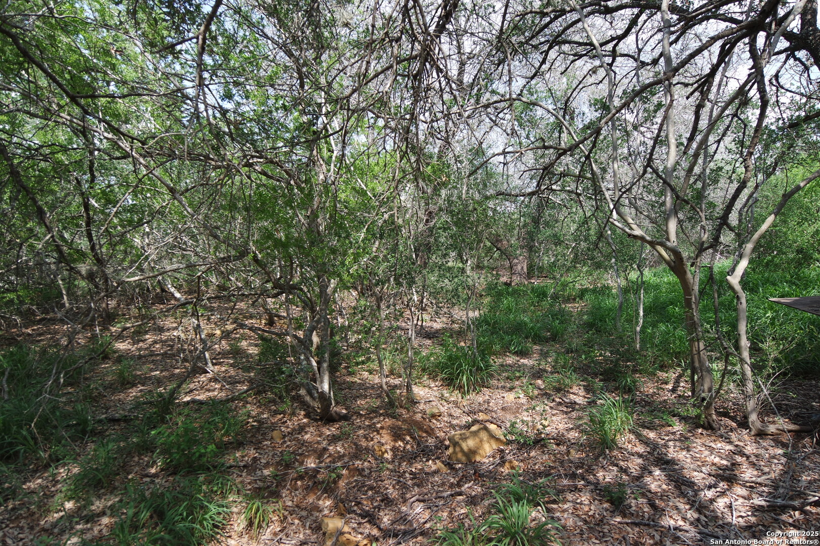 main property photo 8