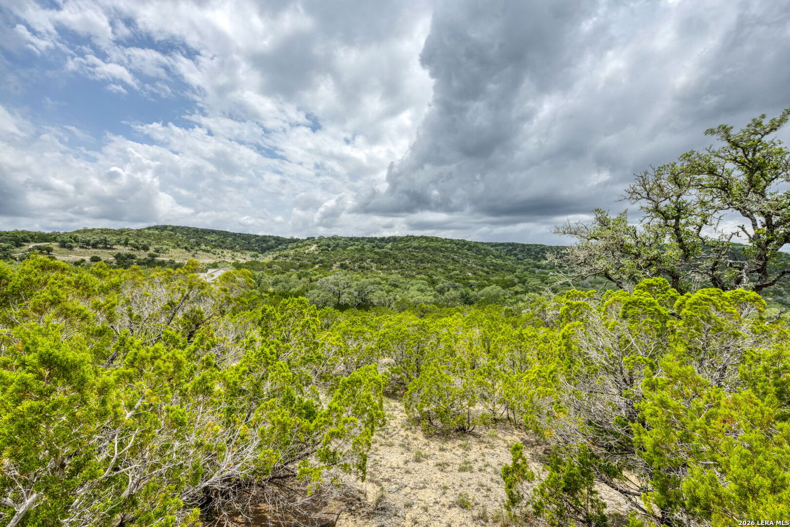 main property photo 54
