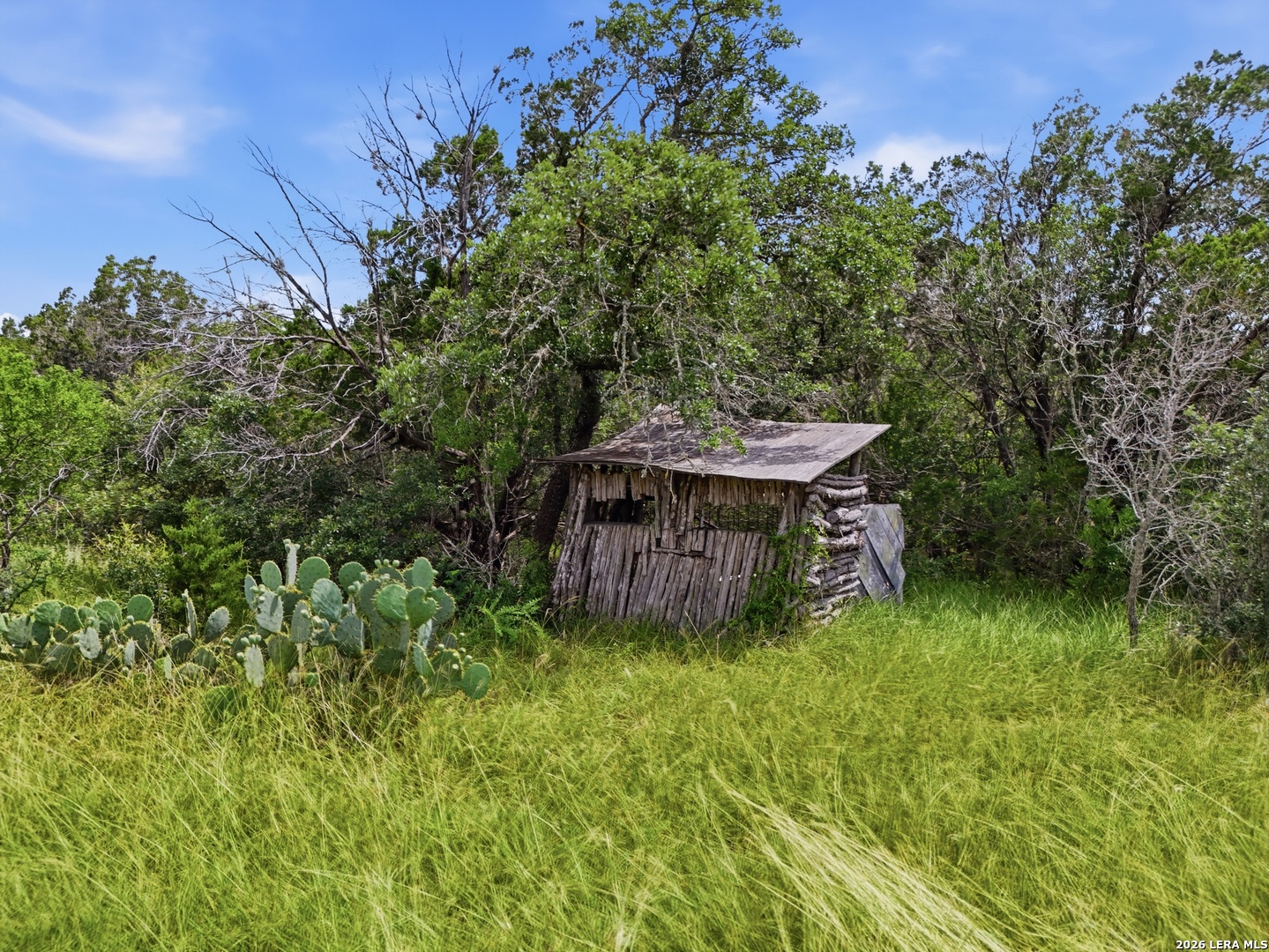 main property photo 36