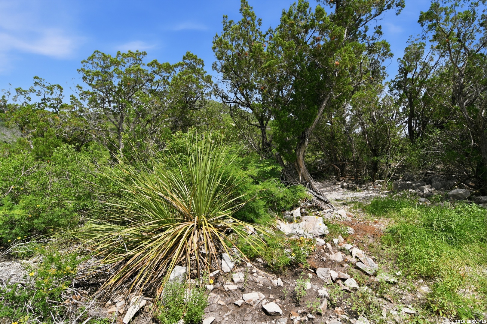 main property photo 43