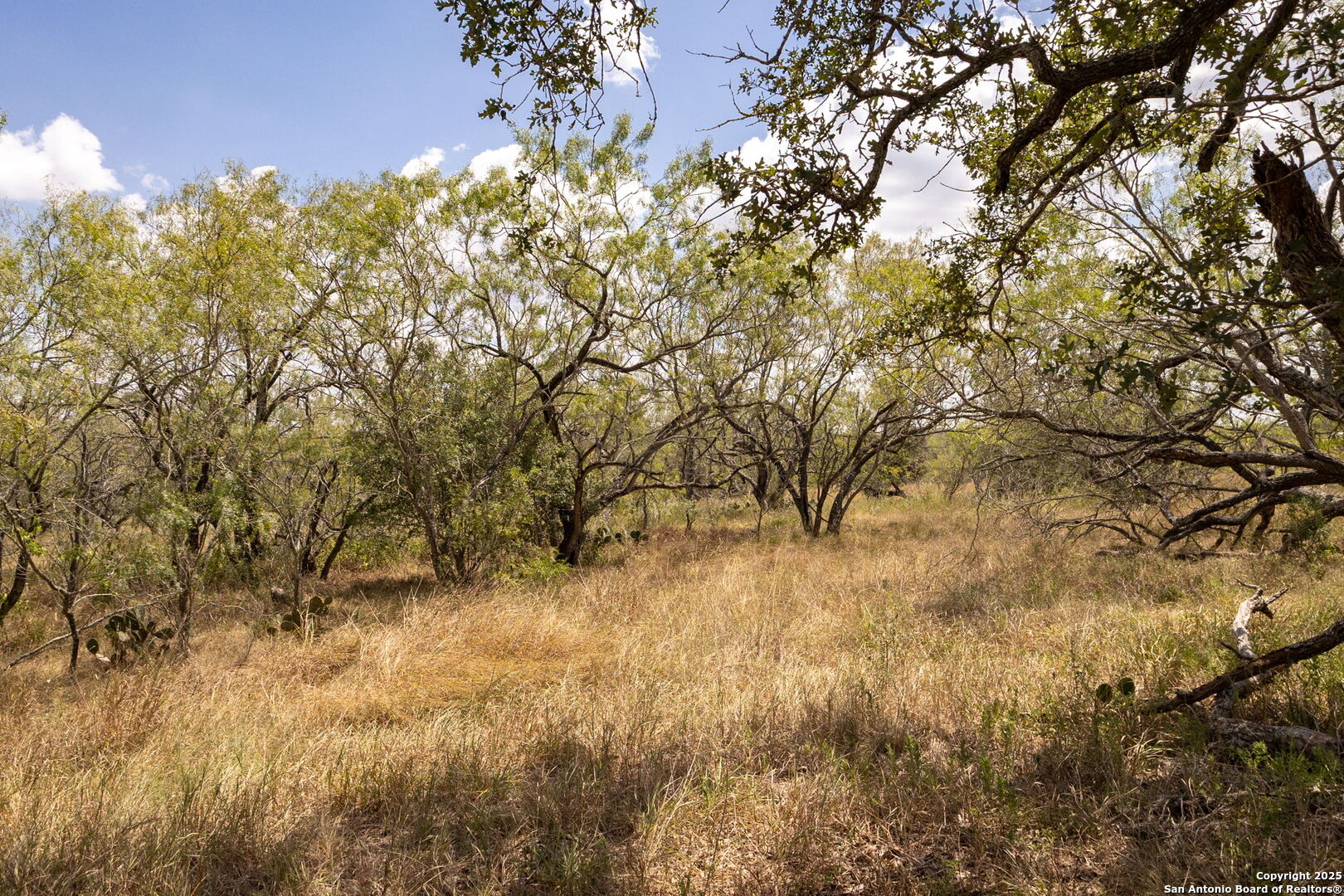 main property photo 10