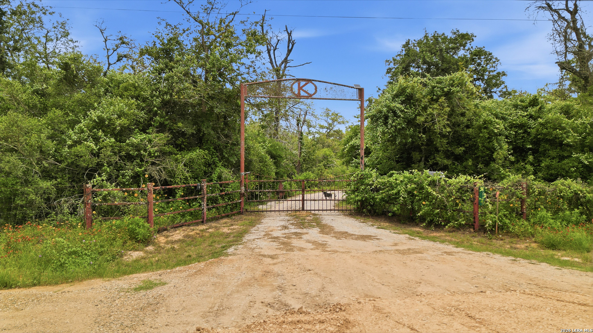 main property photo 6