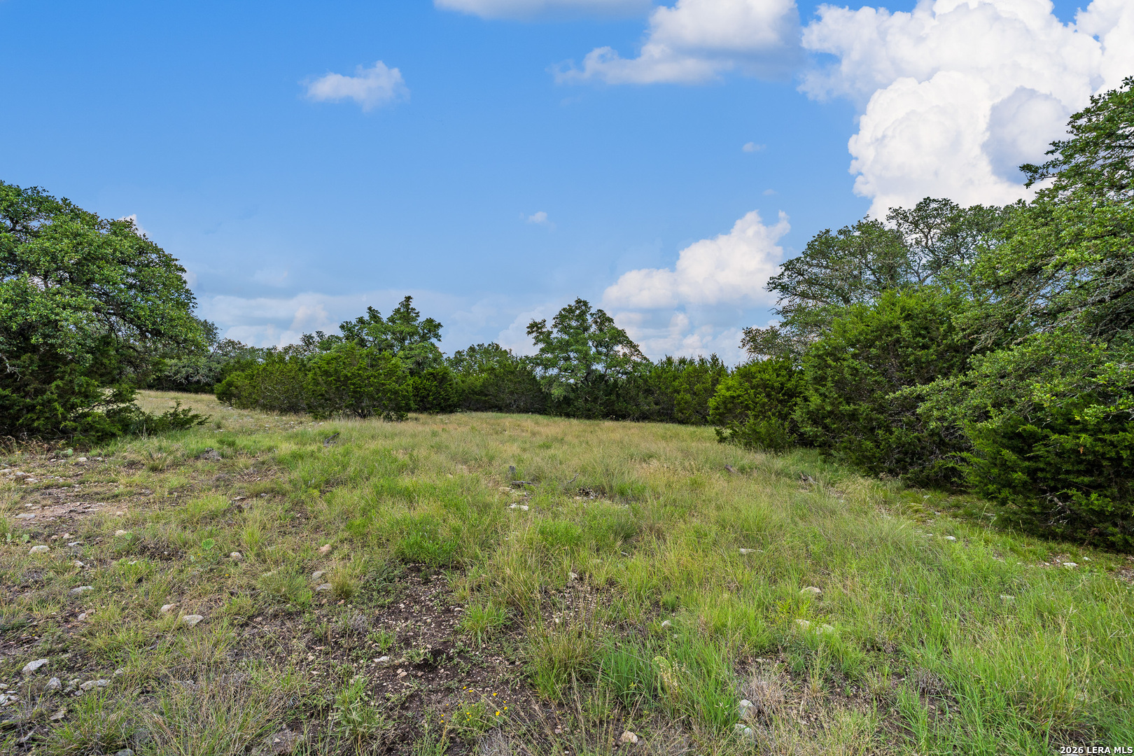 main property photo 61