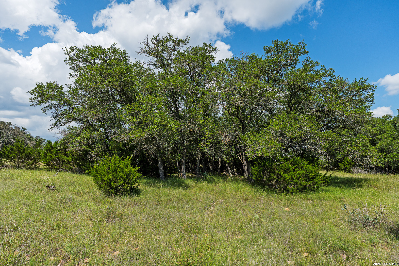 main property photo 62
