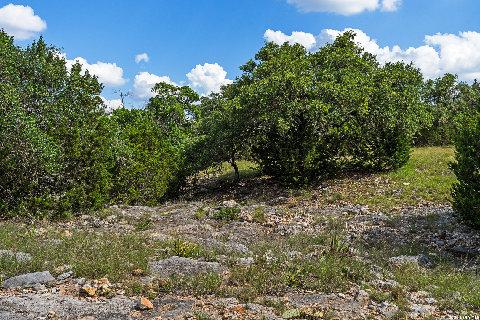 main property photo 69