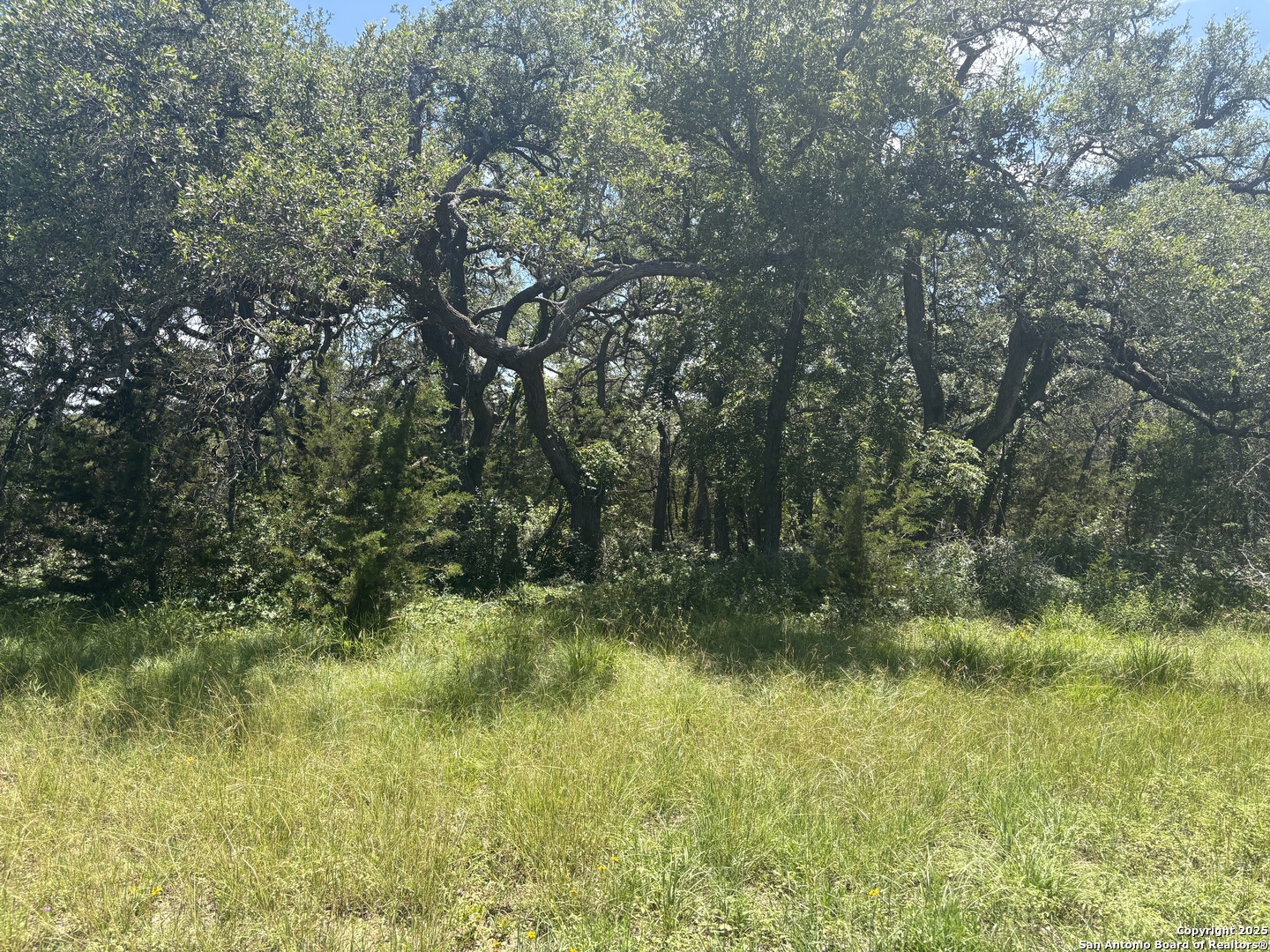 main property photo 9