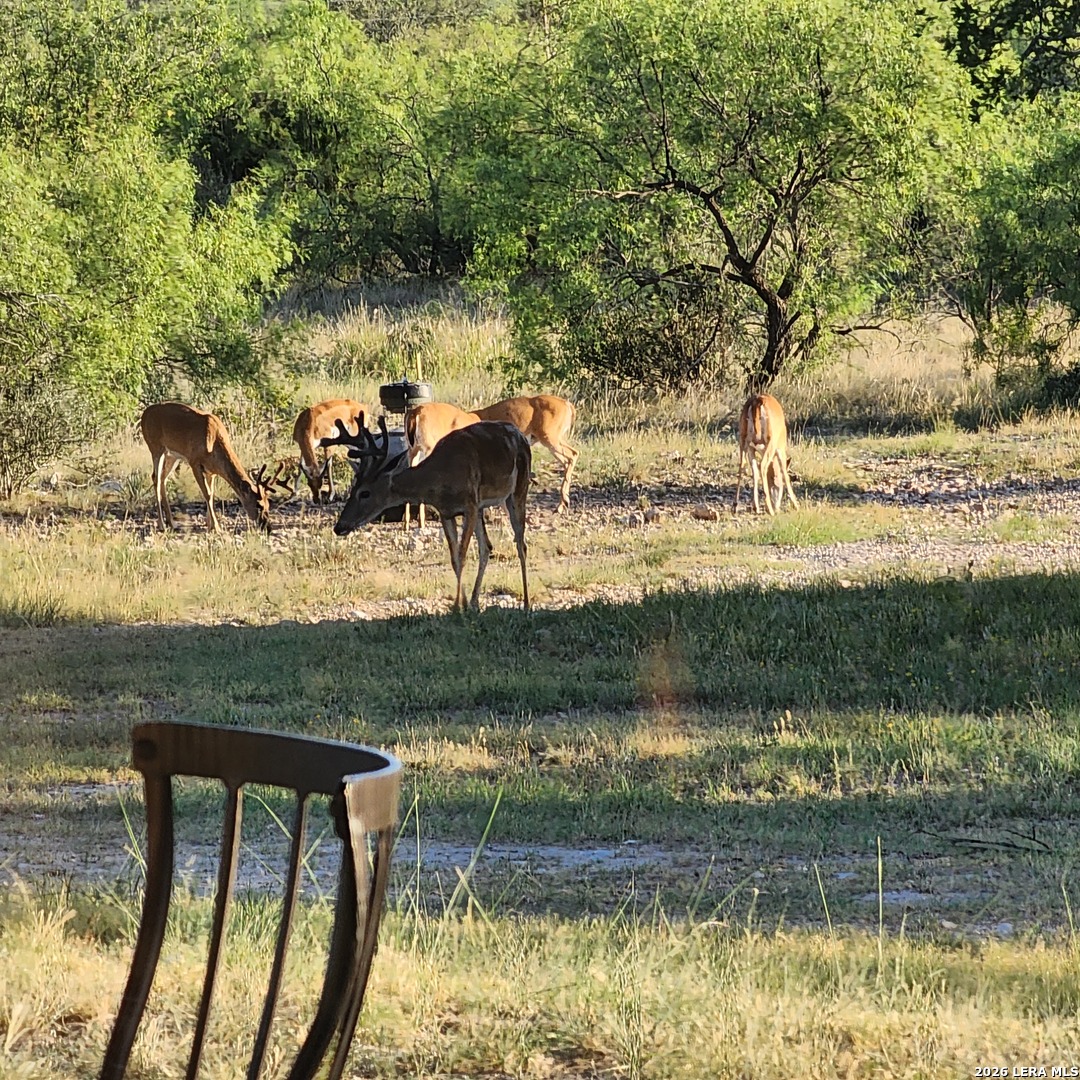 main property photo 37