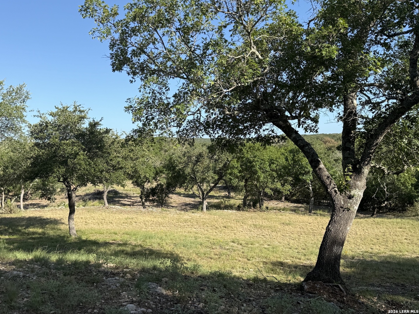 main property photo 11