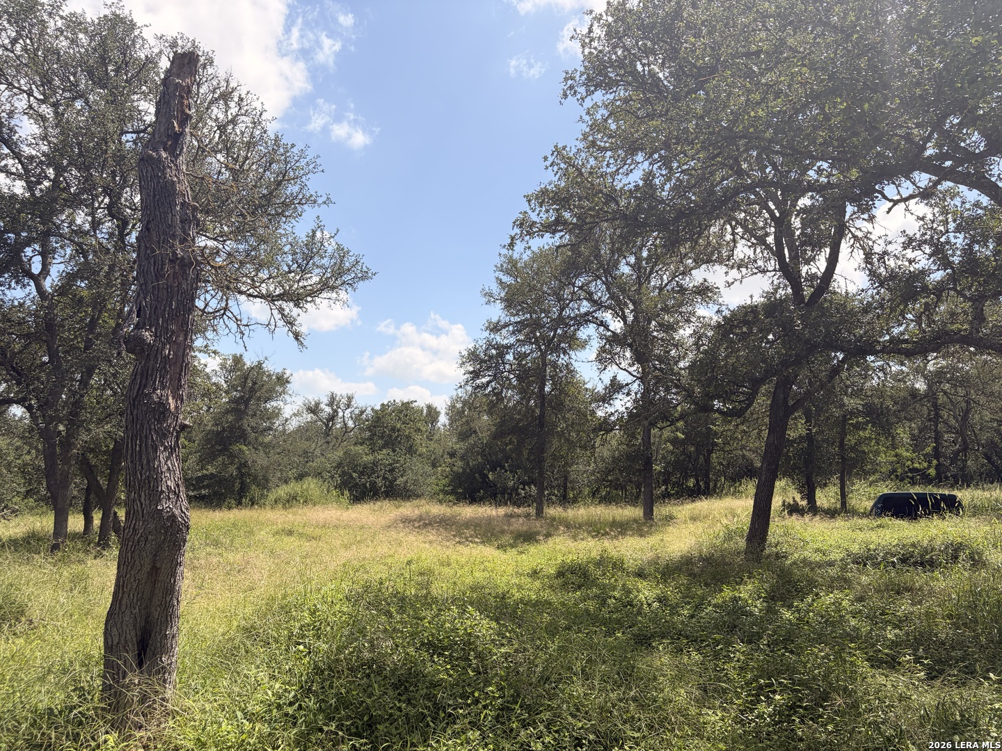 main property photo 43