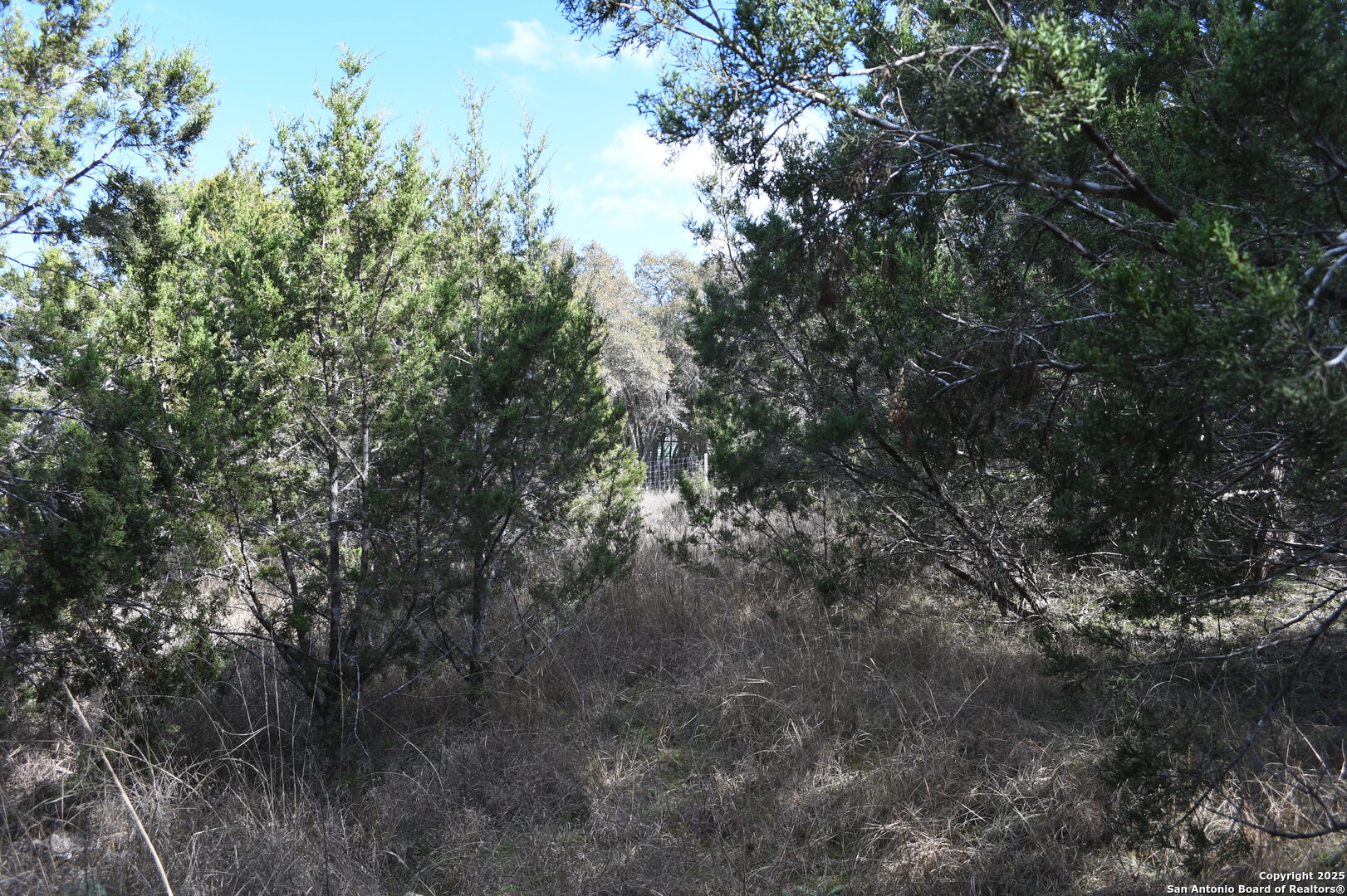 main property photo 10