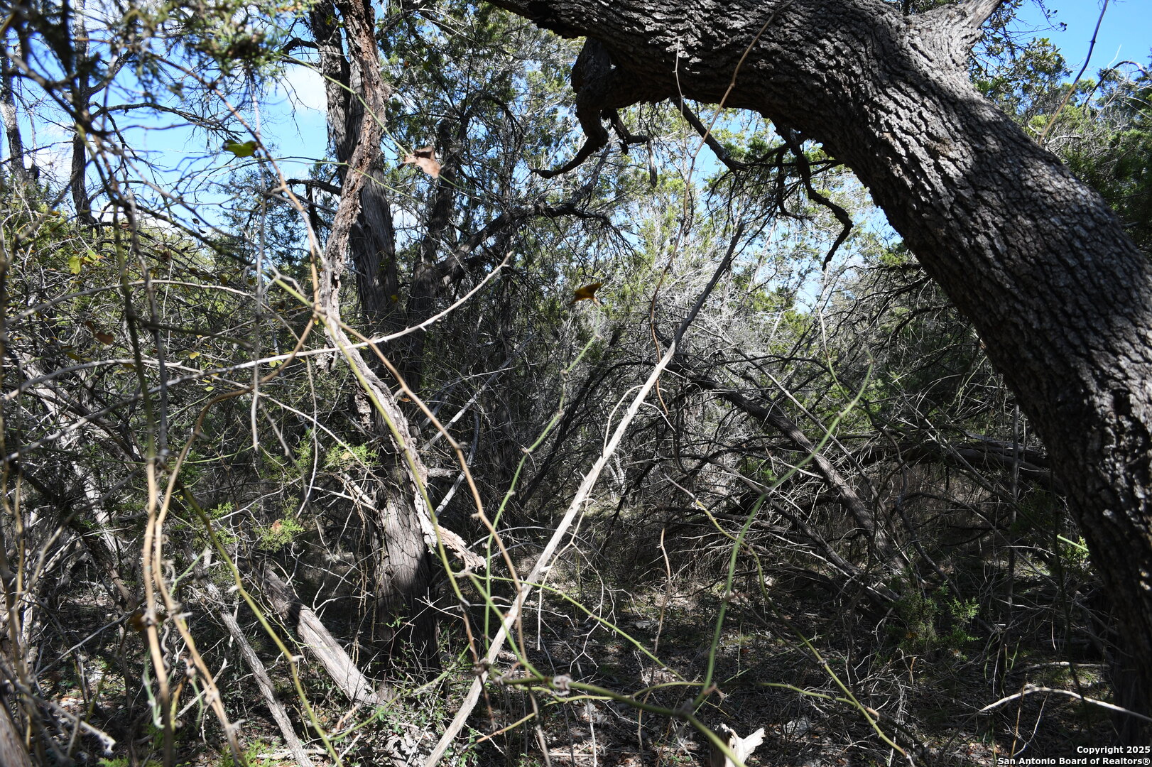 main property photo 6