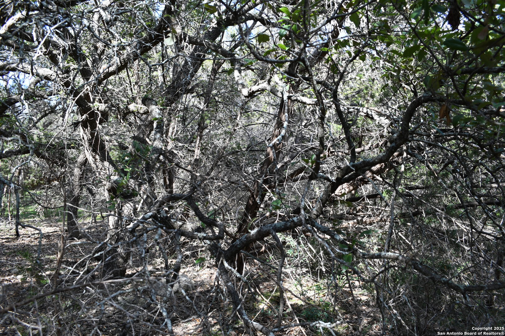 main property photo 8