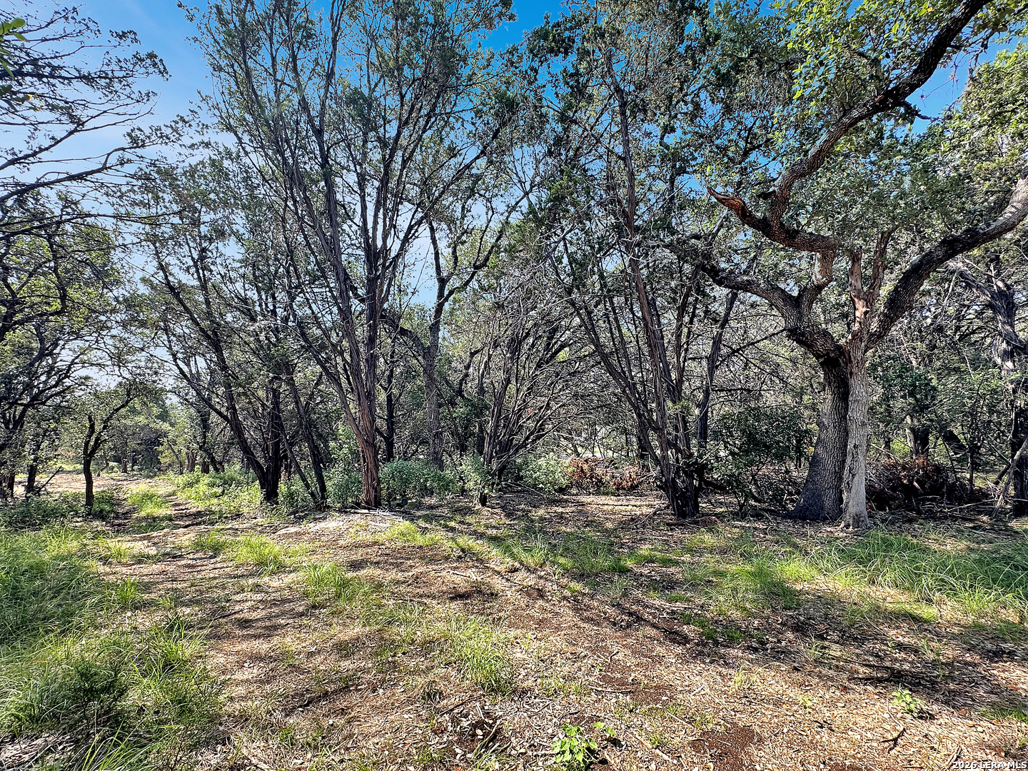 main property photo 26