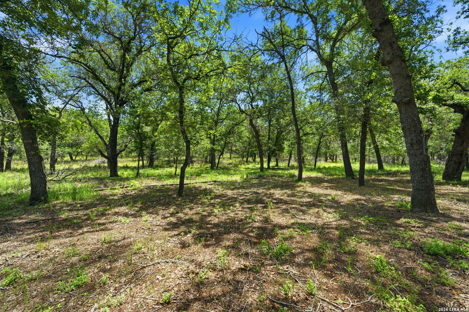 main property photo 27