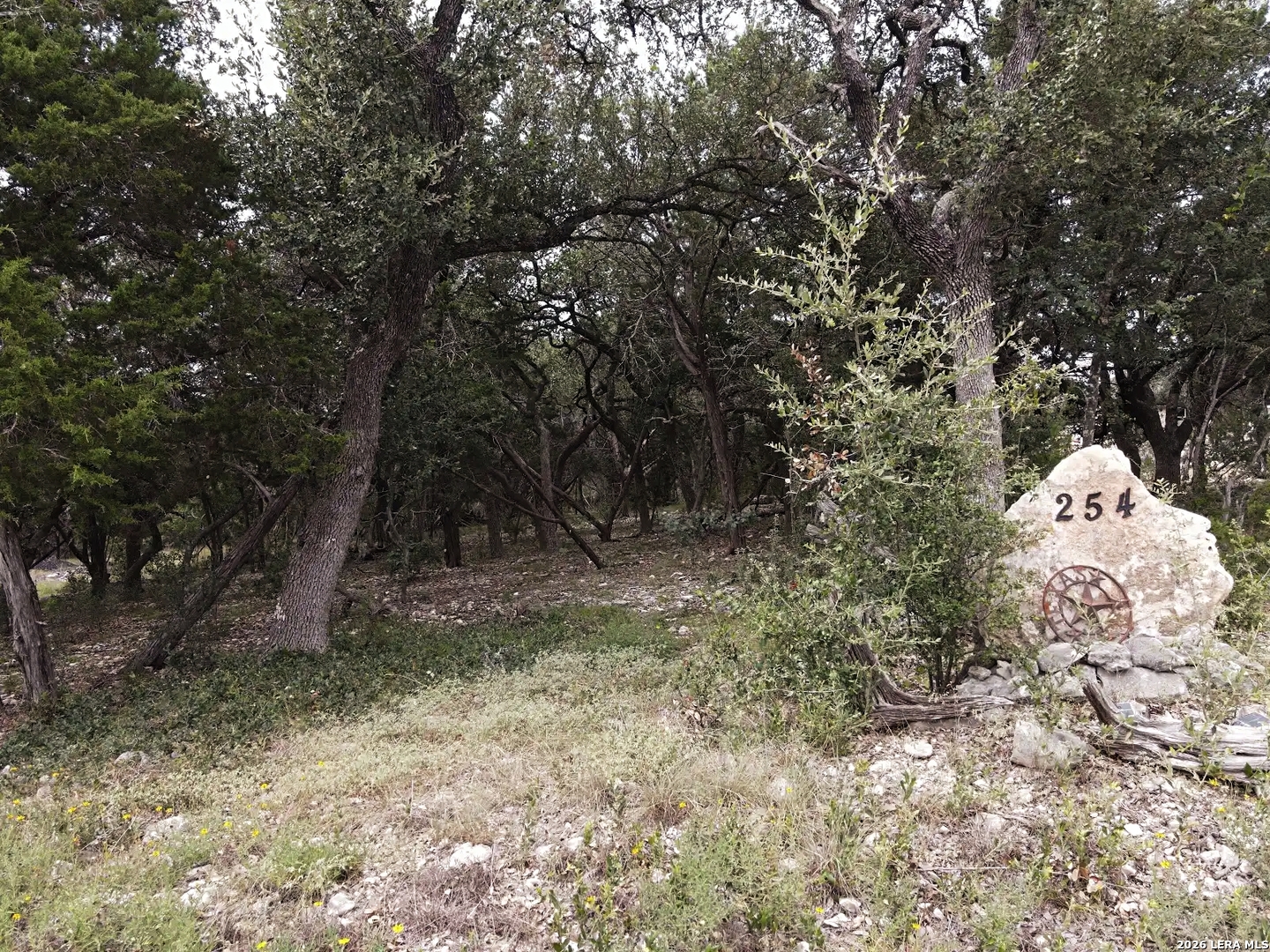 main property photo 10