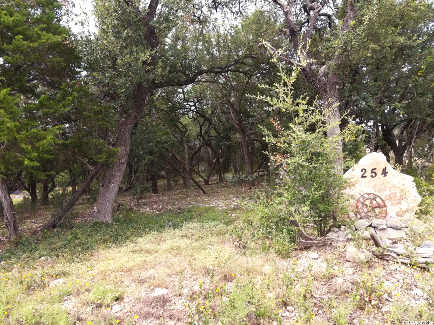 main property photo 19