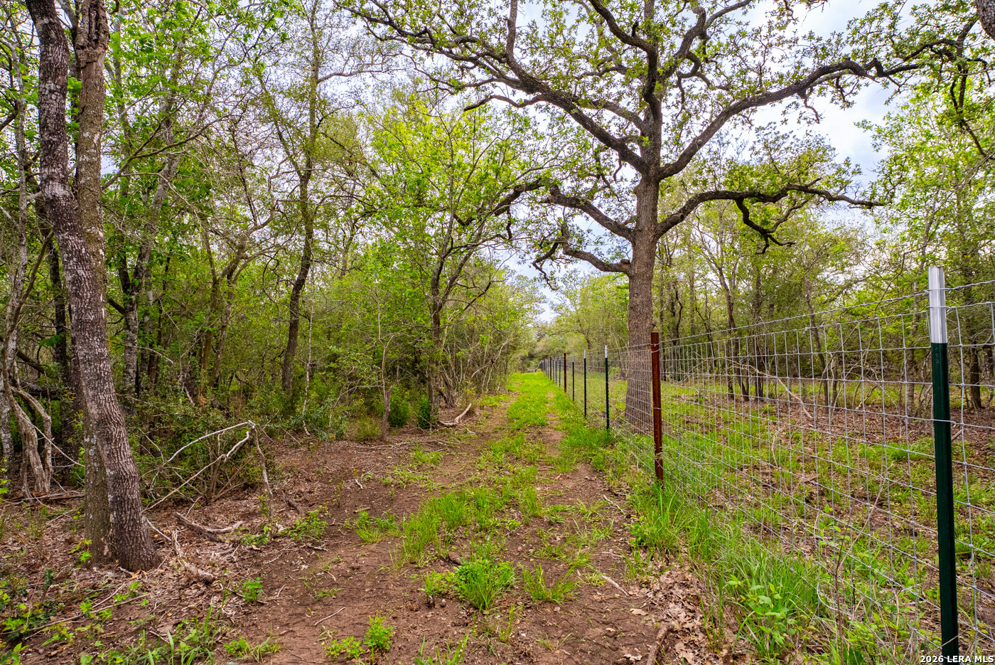 main property photo 41